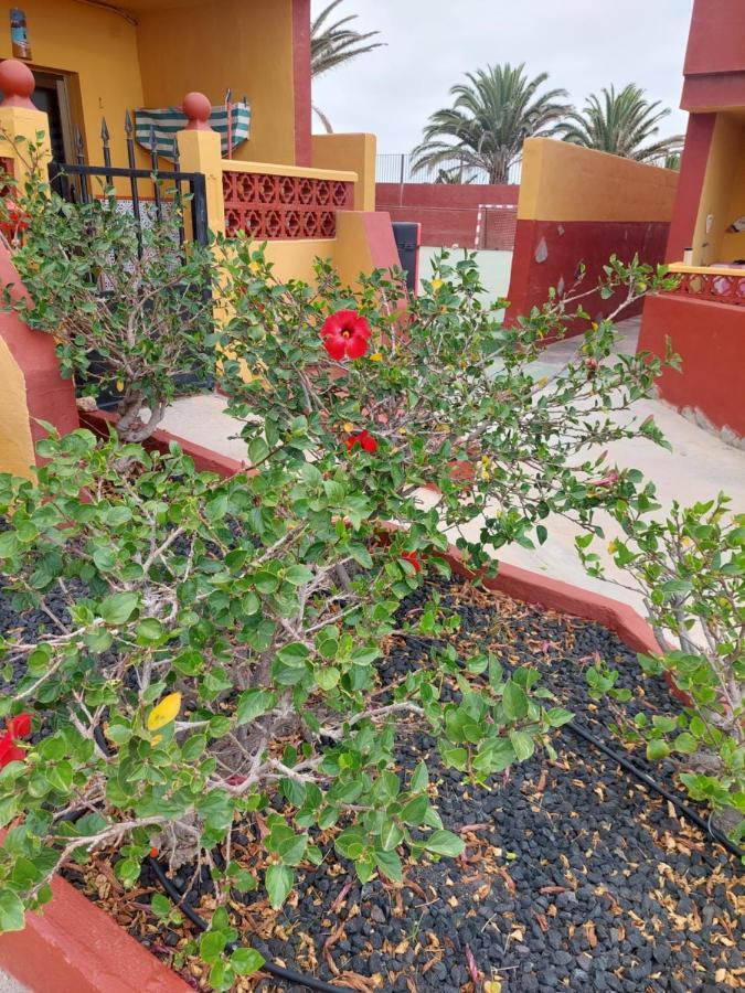 La Paloma Buena Esperanza Lejlighed Costa De Antigua Eksteriør billede